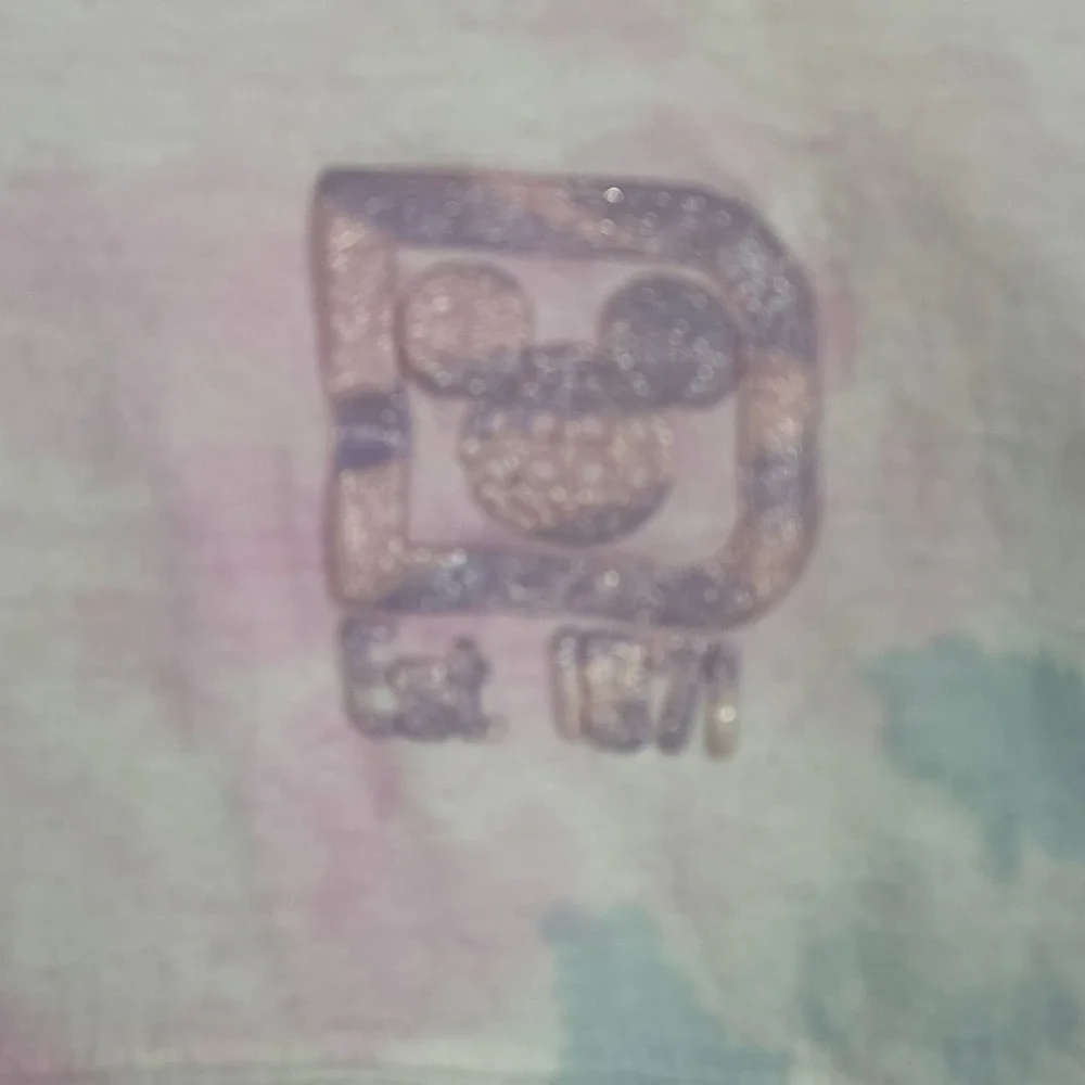 Walt Disney‎ World Spirit Jersey Sweatshirt XS Pink Tie Dye glitter puff letter